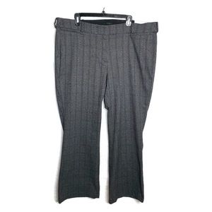 Lane Bryant The Allie Career Pants Boot Cut